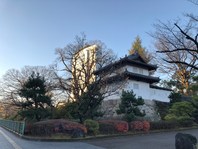 朝日に映える高崎市役所