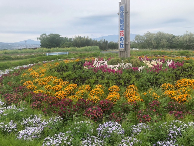 鼻高花園①