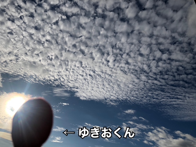 ウロコ雲①
